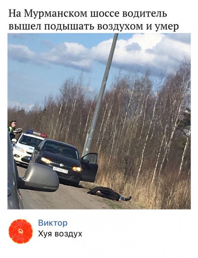 Прикольные картинки абавсём