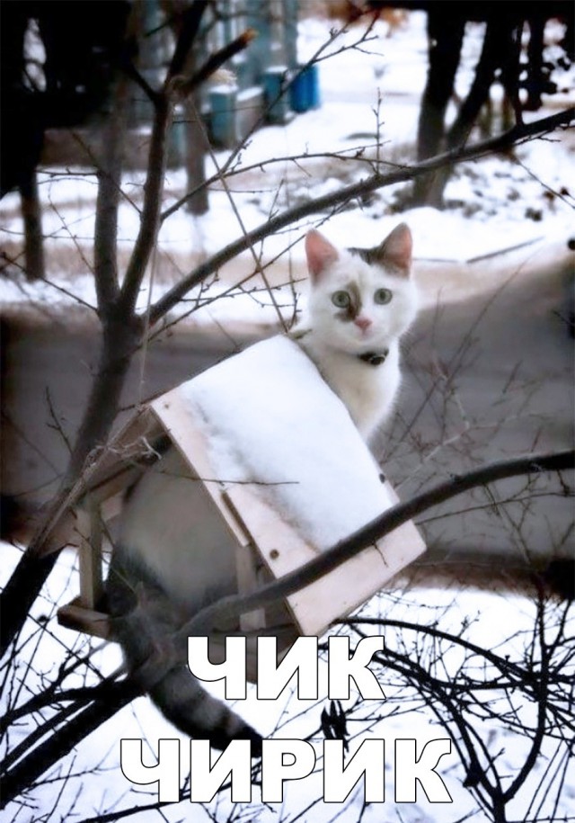 Немного милоты