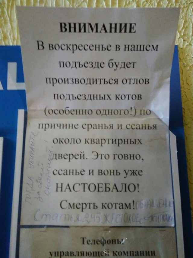 Блеск и крипота наших подъездов