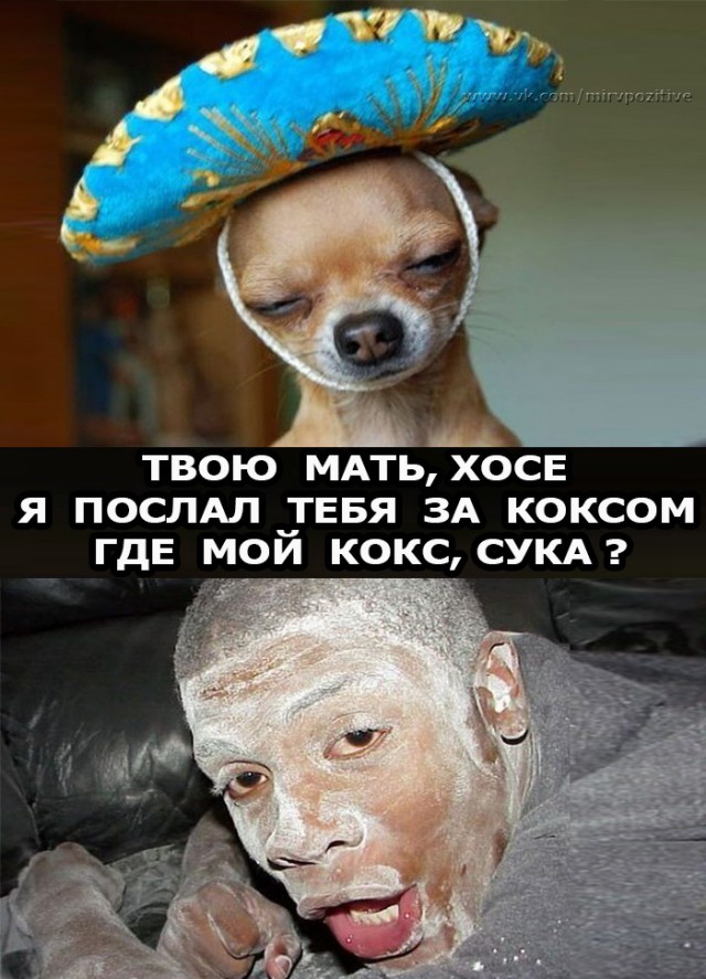 Весёлые картинки