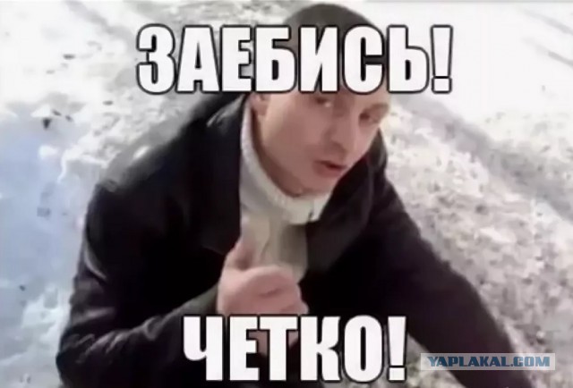 Ночной мигрант