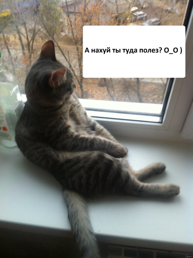 Хозяин тонет!