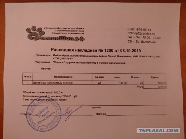 Помогите вернуть кота! Приют "Преданное сердце" украл кота и не отдает!-2