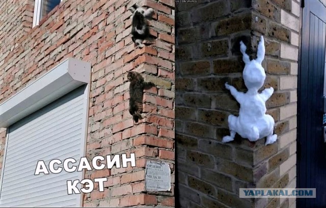 «Картинки разные нужны, картинки разные важны»