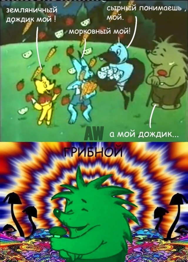 Тысячи килограмм батата и моркови было сброшено с воздуха, чтобы накормить животных, пострадавших от лесного пожара в Австралии