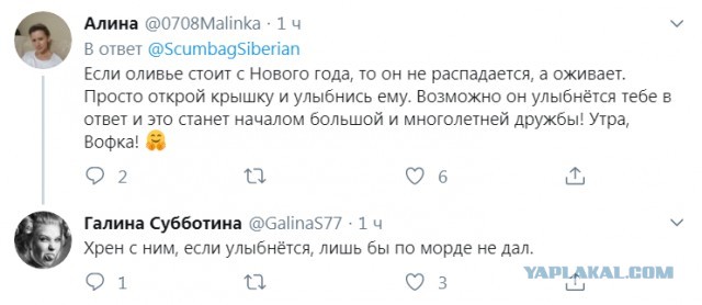 Бредзона 27.01.2020