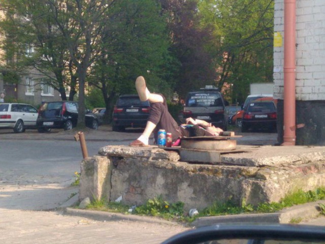 Скотсети и прочие интернеты 08.05.20