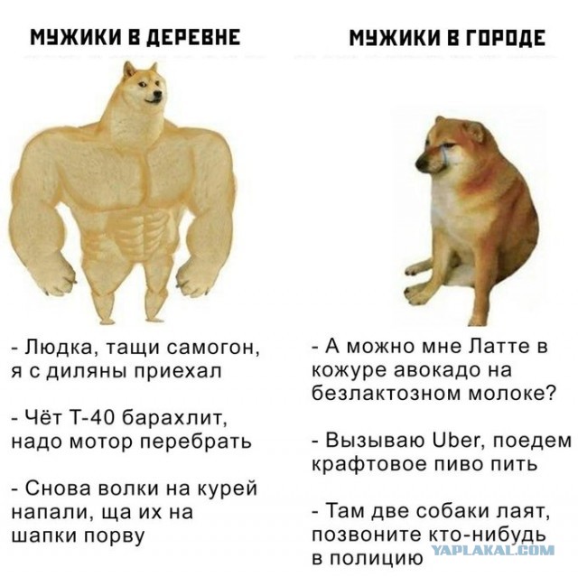 Бредзона 31.05.20