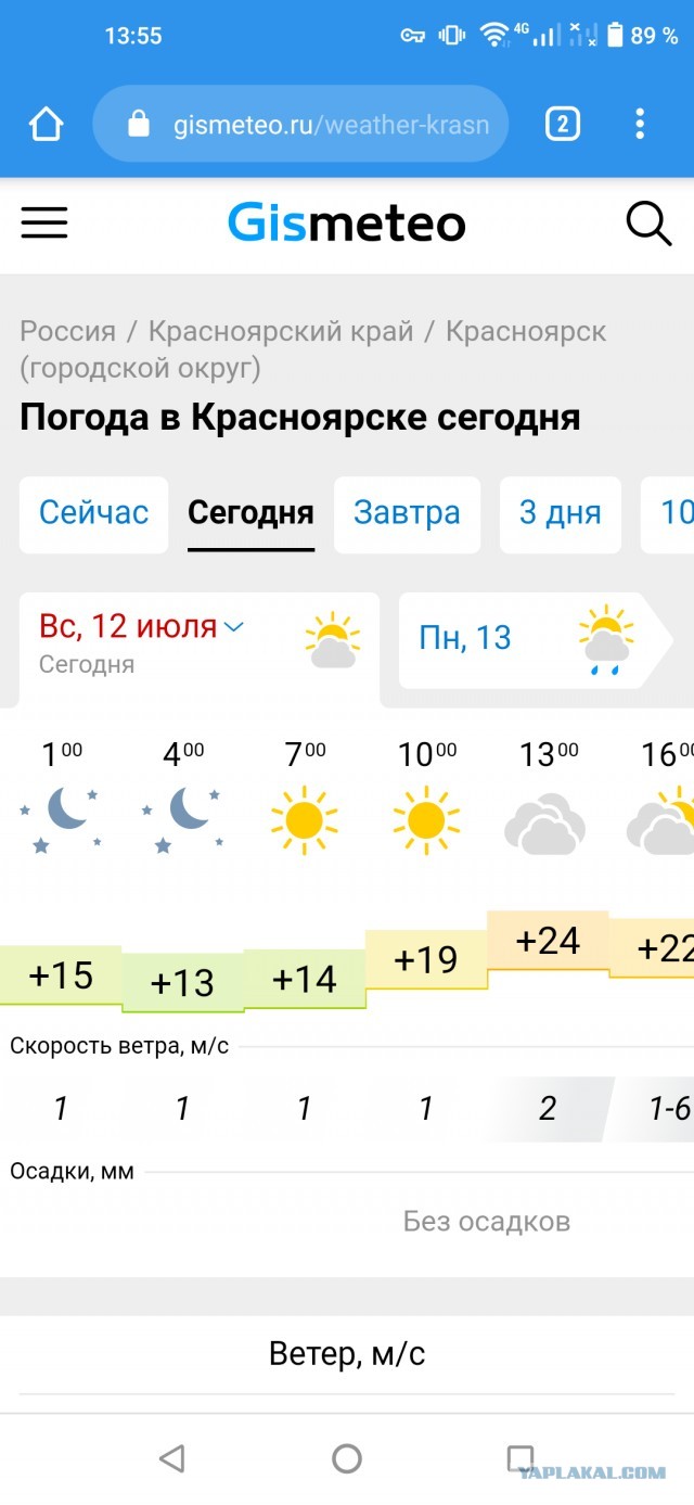 Пьющая кошка - горе в семье!