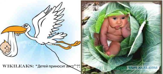 Фотожаба: WikiLeaks