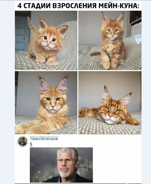 Картинки и мемы для настроения 019