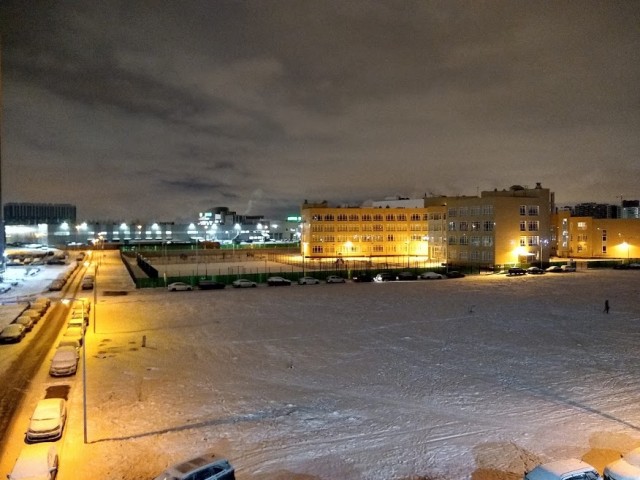 Москва. 31.01.2021. Полицейское безумие