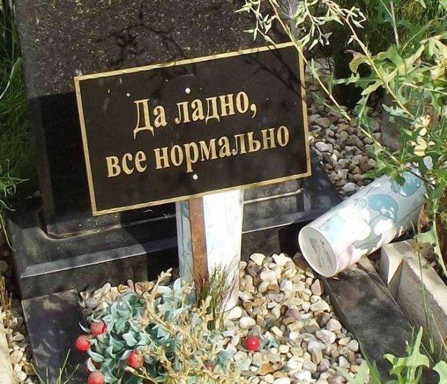 Скотсети и прочие интернеты 23.04.2021