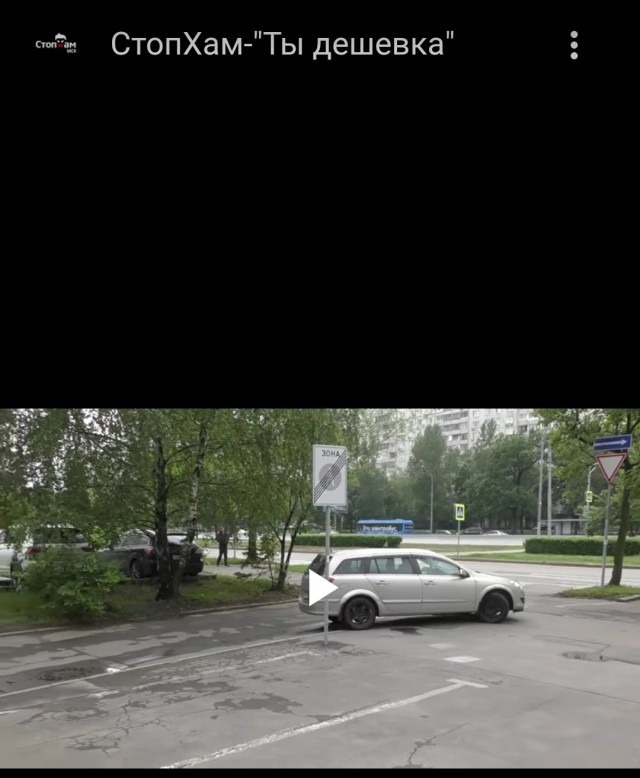 Борзый старикан