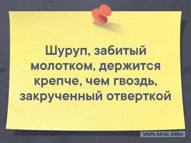 Мои летние поделки