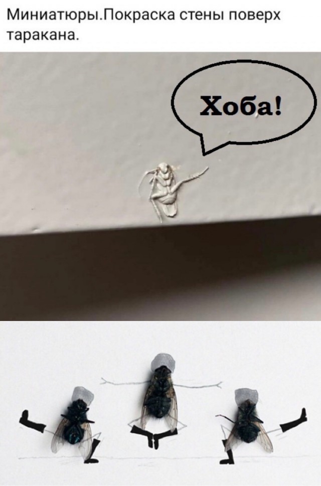Бредзона 10.09.21