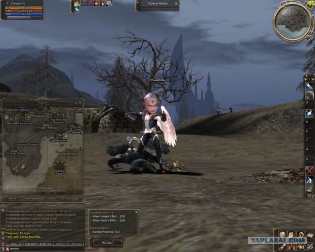 Lineage 2, C6