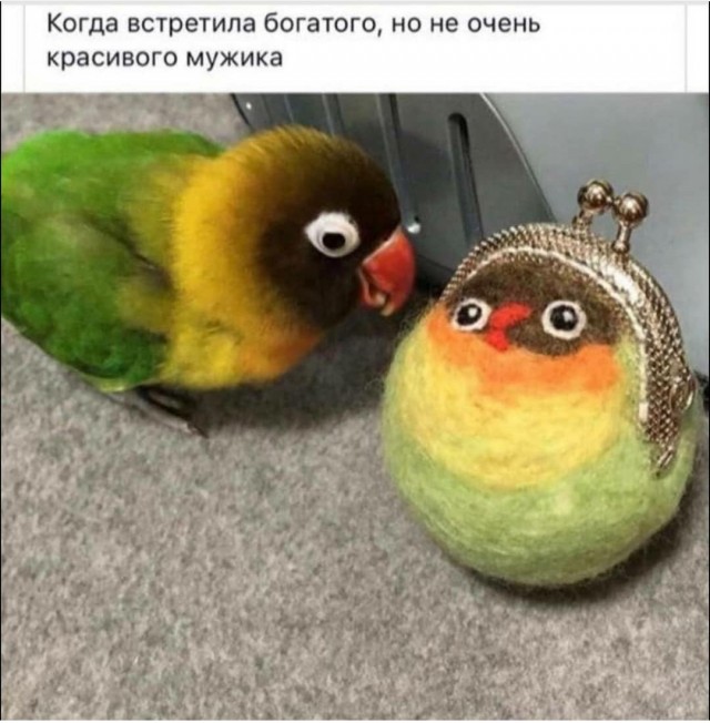 Картинки на разную тематику