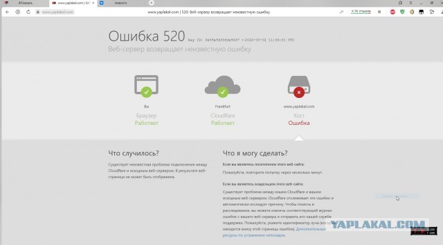 ⚡ ЯП работает! 02.03.2022. Отразили DDOS и нарастили мощность