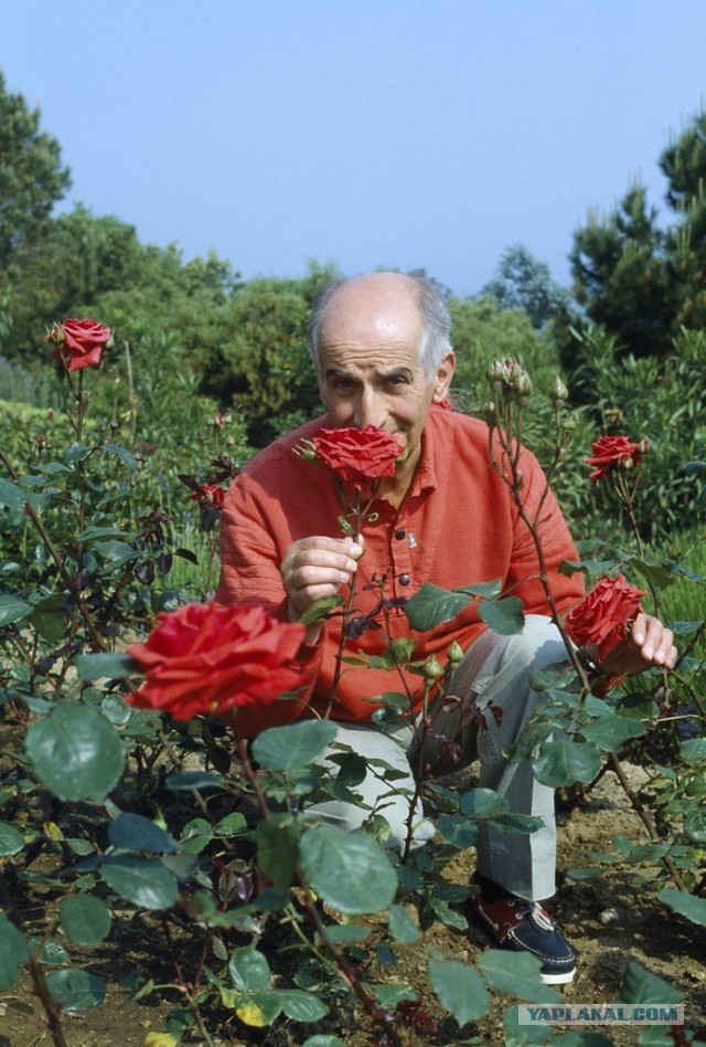 Первый пост