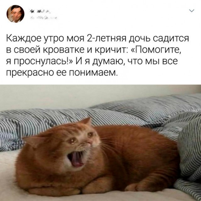 Картинки и мемы для настроения - 29
