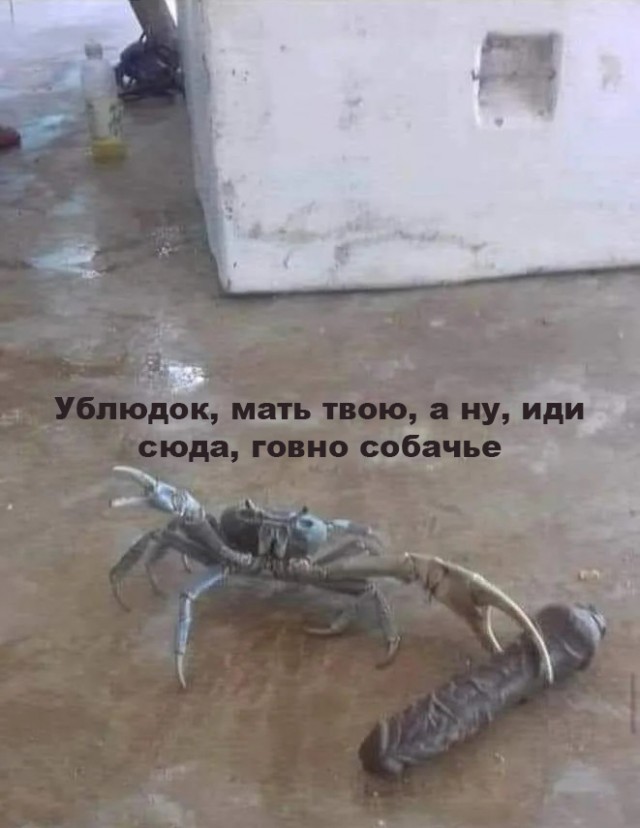 Средненедельная деградация