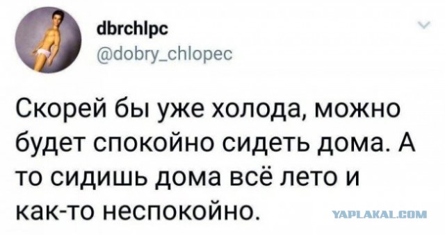 Скриншоты и комментарии из социальных сетей 30.07.22