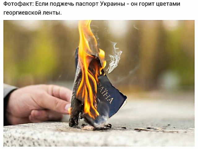 В сети набирает популярность челендж по сжиганию украинского паспорта.