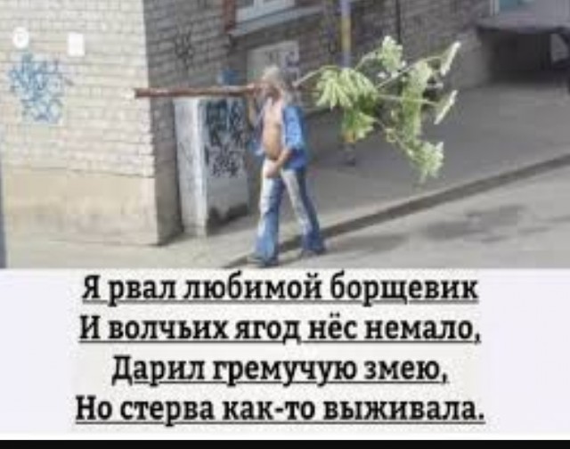 На каких условиях согласны жениться успешные мужчины