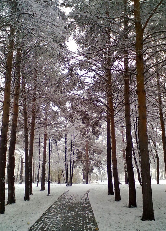 Осень. Солнце. Новосиб