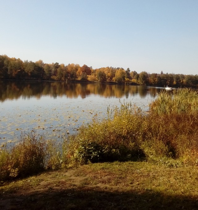 А может быть поделимся печальной красотой?