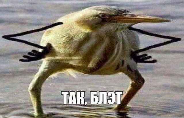 Руси и Срби Браћа заувек!