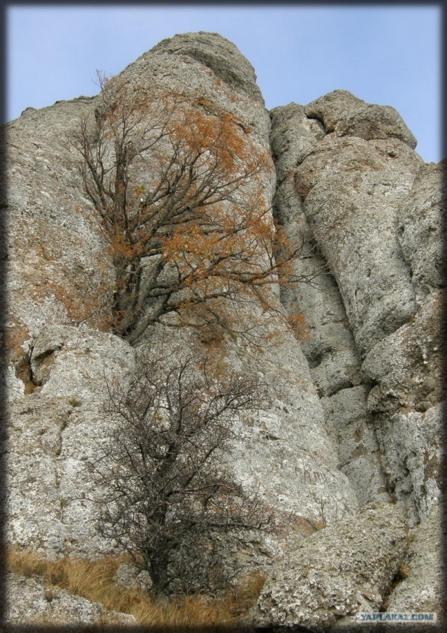 Крым. Южный Демерджи. Вершина.