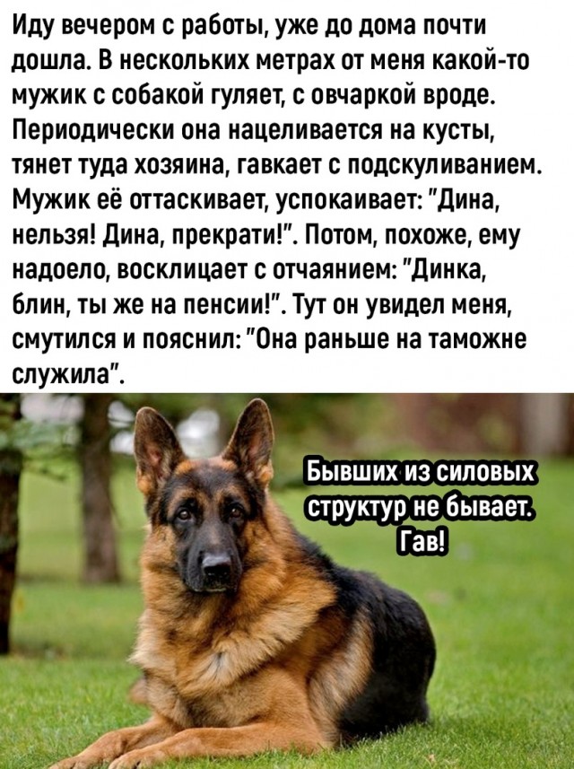 Так себе картинки 19.11.22