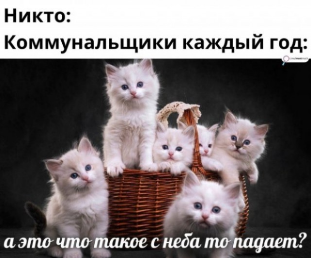 Москву накрыл снегопад, пробки - зашкаливают