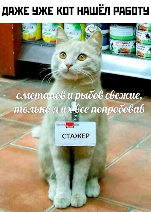 Картинки и мемы, всем хороших выходных
