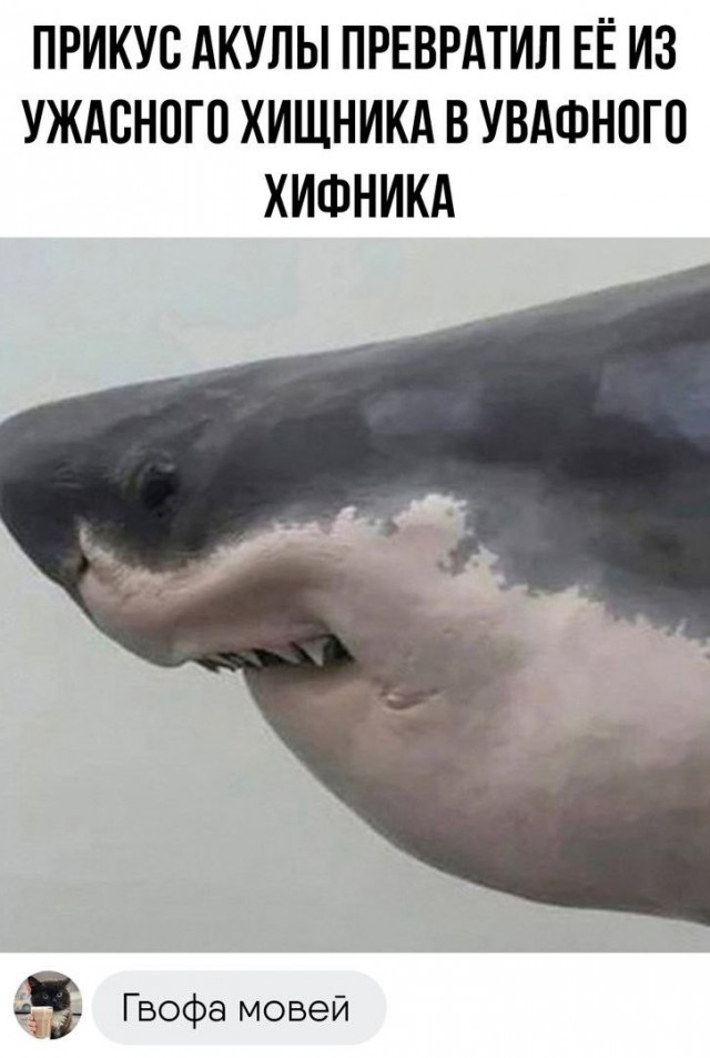 Картинок разной степени @анутости псто.