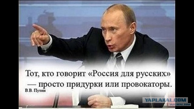 Бойцы ММА высказались по поводу слов Макса Дивнича