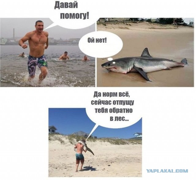 Его бы слова, да Богу в уши...