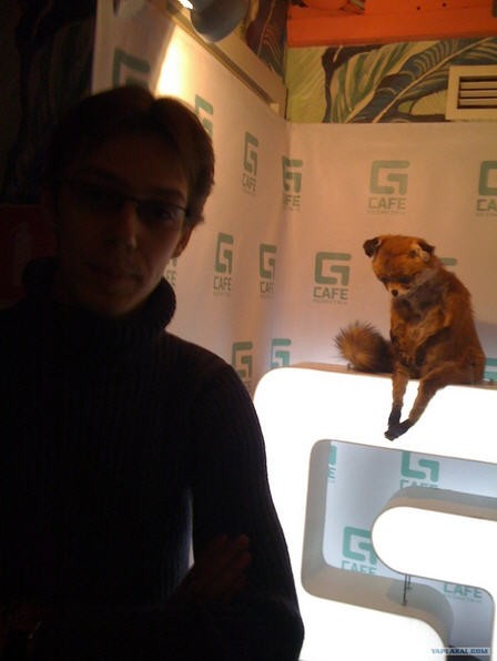 Ну что, кто доехал таки до упоротого лиса? :)