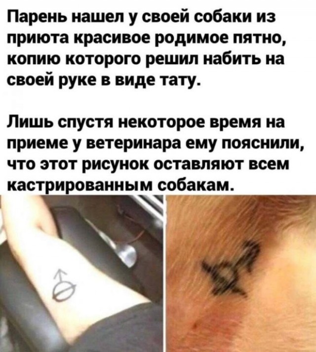 Подборка картинок 06.05.2023