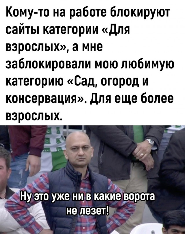Так себе картинки 30.06.23