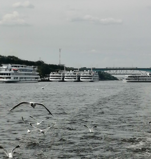 Отпуск в Ярославле