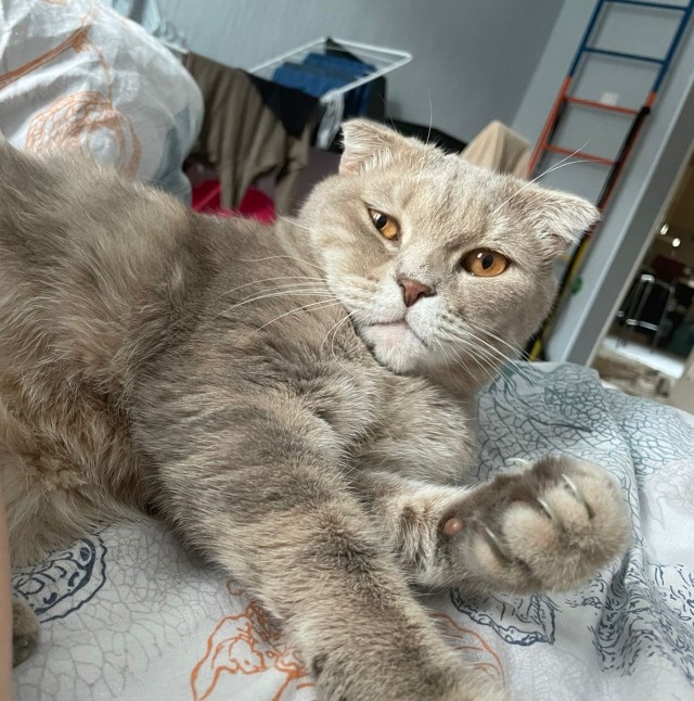 Вот