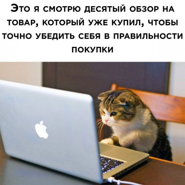 Так себе картинки 21.07.23