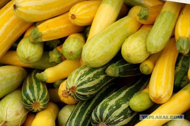 Икра кабачковая по ГОСТу