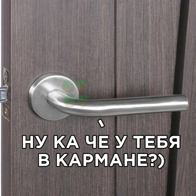 Весёлый полтишок 15.10.23