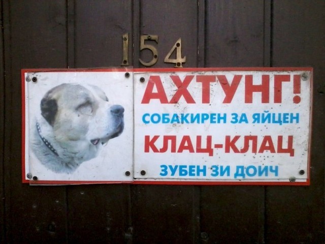 Хотите после этого собаку в дом?)