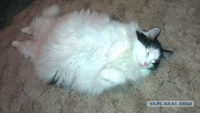 Почистил телефон