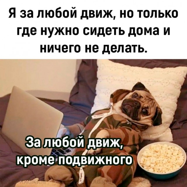 Весёлый полтишок 22.04.24